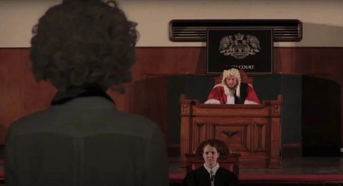 Seen from behind, a person faces a judge in a red robe at a raised bench below a court crest