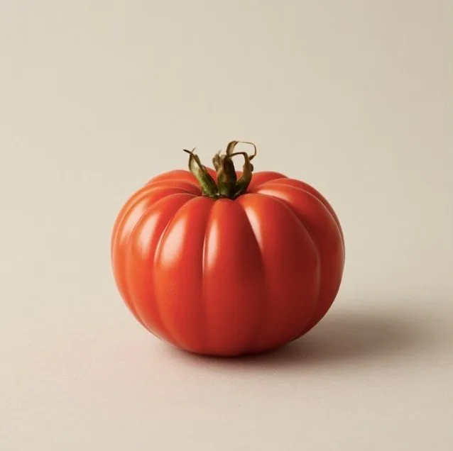 Rendering: a single ribbed red tomato